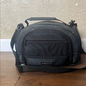 Panasonic digital camera (palmcorder with photo shot)